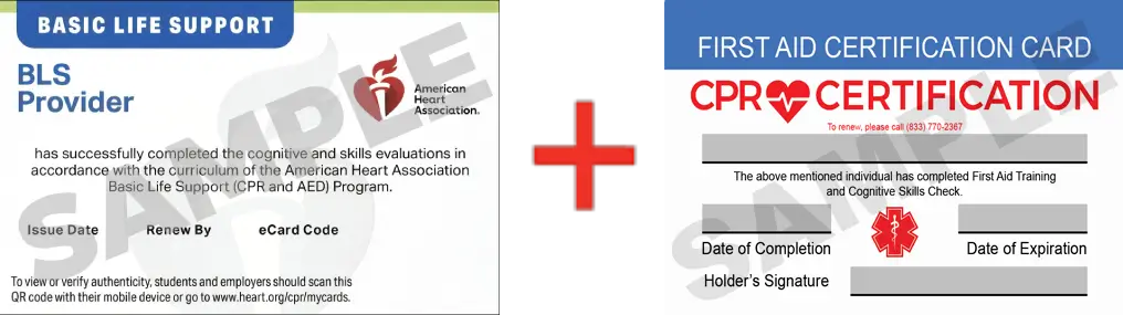 Sample American Heart Association AHA BLS CPR Card Certification and First Aid Certification Card from CPR Certification Memphis